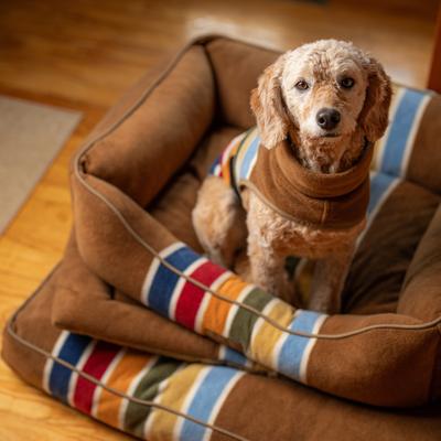 Show full view: Pendleton National Park Joshua Tree Kuddler Dog Bed, X-Large slide 6 of 8