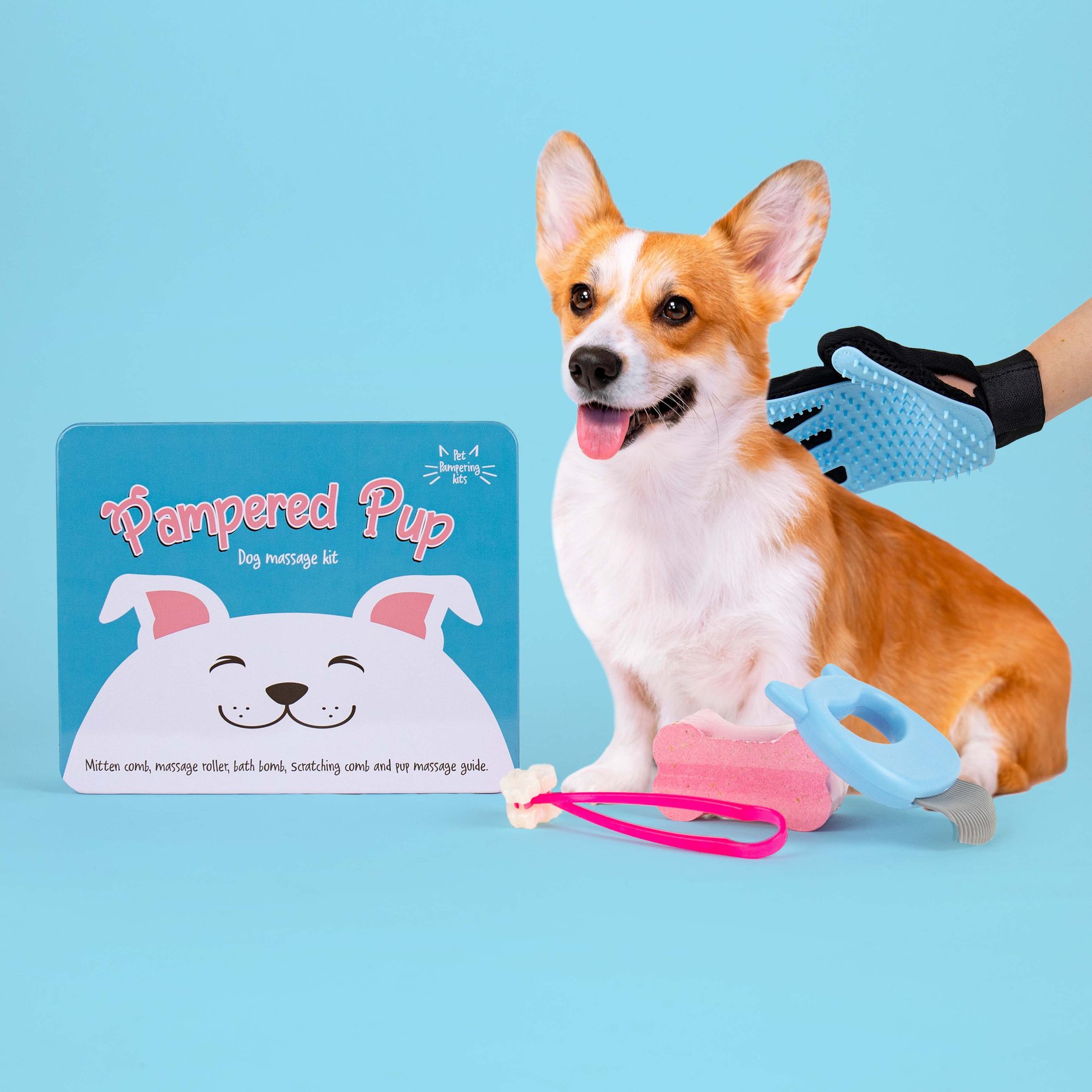 Gift Republic Dog Massage Kit, Multicolor