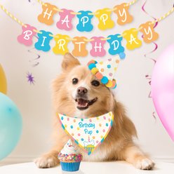 Gift Republic Dog Birthday Kit, Multicolor