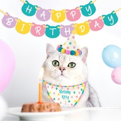 Gift Republic Cat Birthday Kit, Multicolor