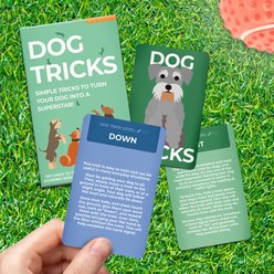 Gift Republic Dog Tricks Card Pack, Multicolor