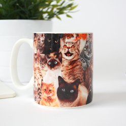 Gift Republic Crazy Cat Lady Mug, Multicolor