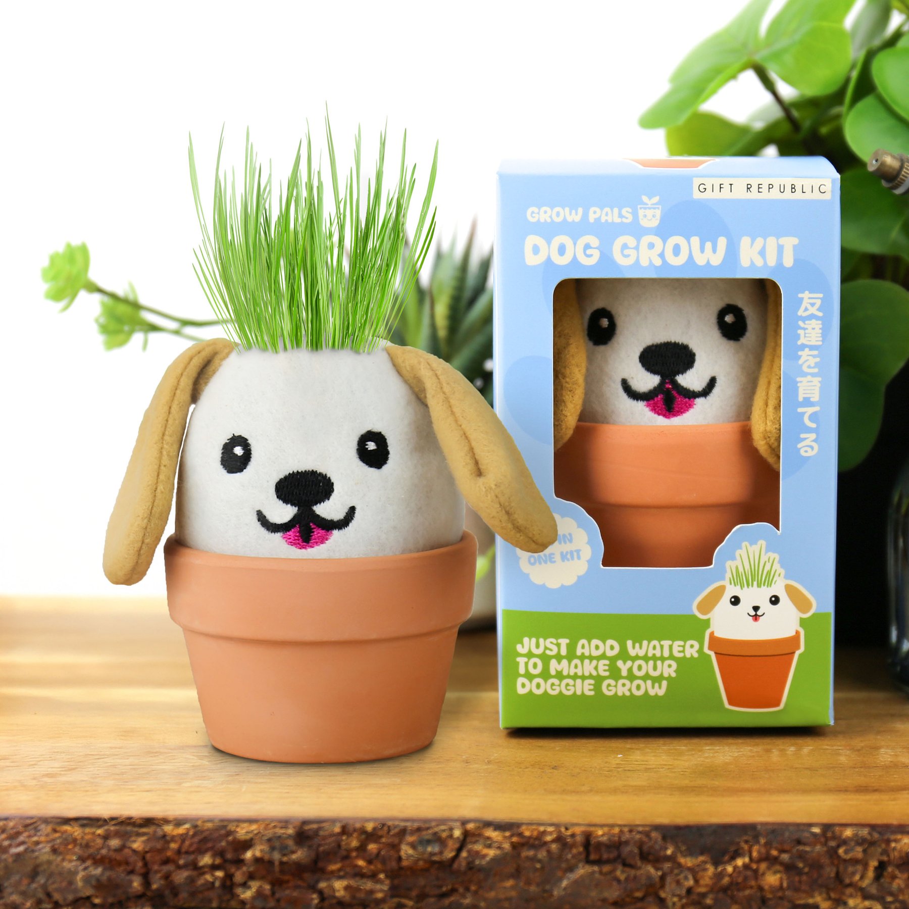 Gift Republic Dog Grow Pal, Multicolor
