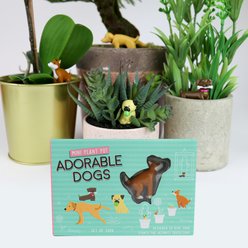Gift Republic Mini Plant Pot Markers Dog Garden Stone, Multicolor