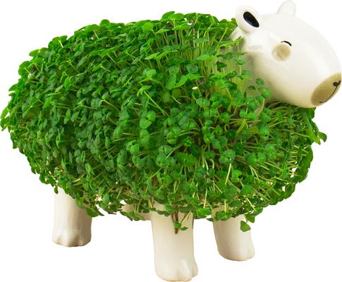 Show full view: Gift Republic Capybara Planter, White slide 3 of 5