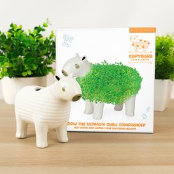 Gift Republic Capybara Planter, White