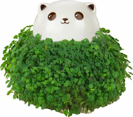 Show full view: Gift Republic Cat Chia Planter, White slide 3 of 4