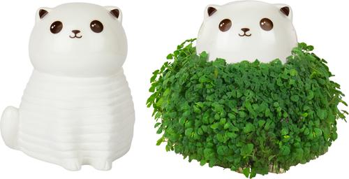 Show full view: Gift Republic Cat Chia Planter, White slide 4 of 4