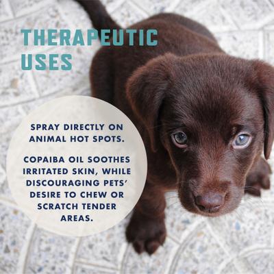 Show full view: Rocco & Roxie Supply Co. No Chew Extreme Bitter Dog Spray, 8-fl oz bottle slide 7 of 11