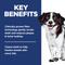Show in main carousel: Hill's Science Diet Oral Care Small Breed & Mini Breed Chicken Recipe Adult Dry Dog Food, 4-lb bag slide 4 of 12