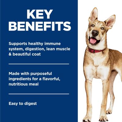 Show full view: Hill's Science Diet Adult Healthy Cuisine Roasted Chicken, Carrots & Spinach Stew Wet Dog Food, 12.5-oz can, case of 12 slide 4 of 13