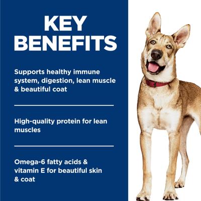 Show full view: Hill's Science Diet Adult Chicken& Beef Entree Wet Dog Food, 13-oz can, case of 12 slide 4 of 13