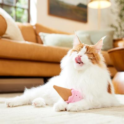 Show full view: Frisco Valentine Strawberry Ice Cream Plush Dental Chew Cat Toy with Silvervine & Catmint slide 4 of 8