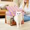 Show in main carousel: Frisco Easter Spring Flower Shop Cardboard Cat House with Catnip slide 5 of 11