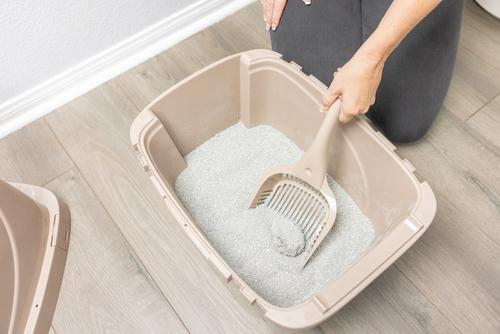 Show full view: Van Ness Extra Giant Long Handled Litter Scoop slide 6 of 9