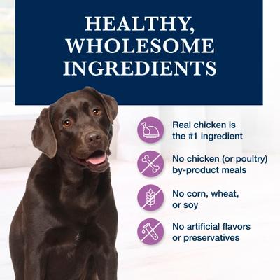 Show full view: Blue Buffalo Natural Veterinary Diet W+U Weight Management + Urinary Care Chicken Wet Dog Food, 12.5-oz, case of 12 slide 7 of 13