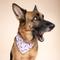 Show in main carousel: The Paws Honey Dog Bandana, Purple, Large slide 4 of 6