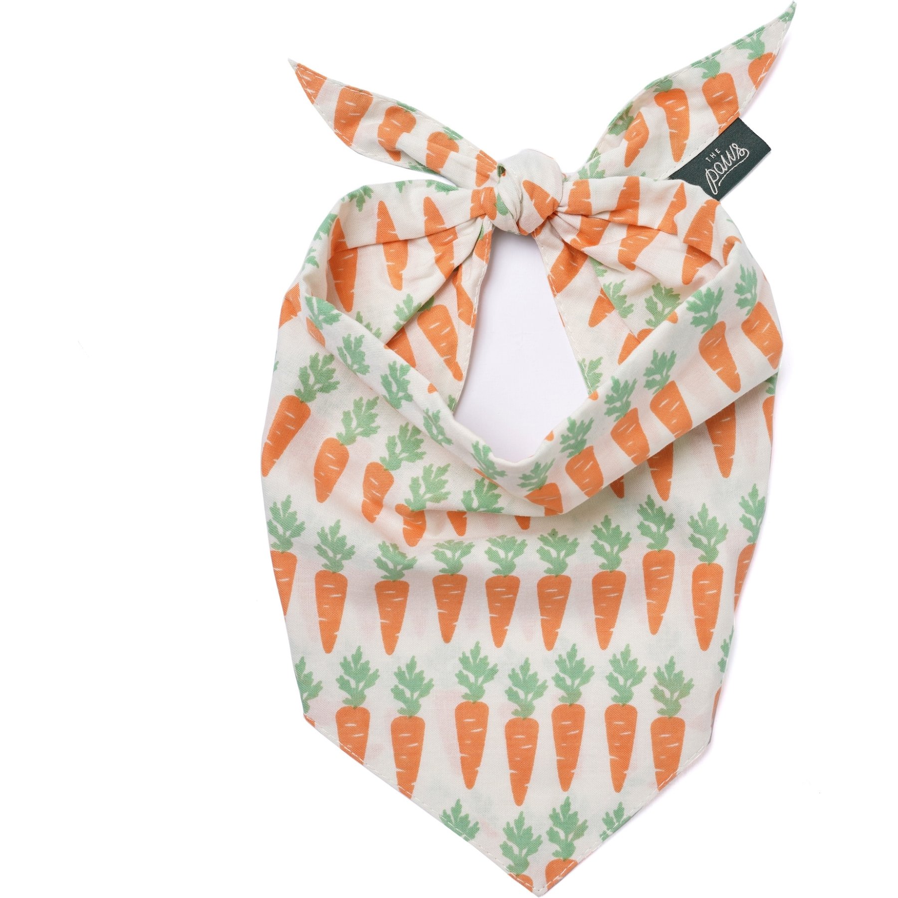 The Paws Crunch Dog & Cat Bandana, Orange, Small