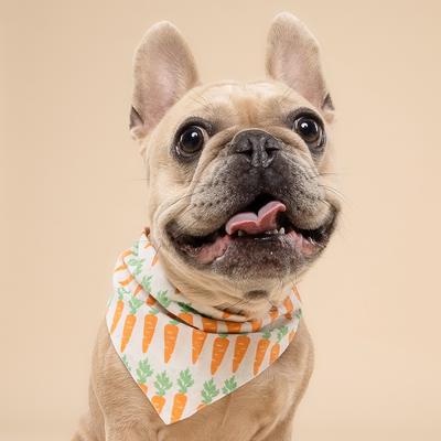 Show full view: The Paws Crunch Dog Bandana, Orange, Small slide 3 of 7