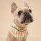 Show in main carousel: The Paws Crunch Dog Bandana, Orange, Small slide 5 of 7