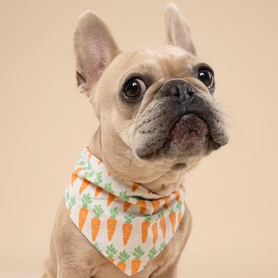 Show full view: The Paws Crunch Dog Bandana, Orange, Small slide 5 of 7