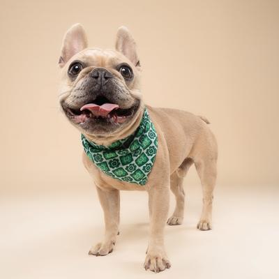 Show full view: The Paws Shamrock Dog Bandana, Green, Large slide 3 of 6