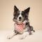 Show in main carousel: The Paws Valentine's Day Lover Dog Bandana, Pink, Medium slide 3 of 6