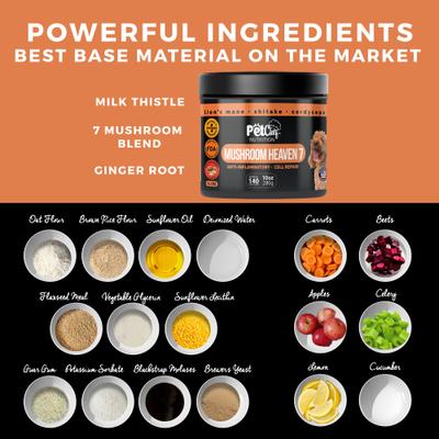 Show full view: Pet Chef Premium 7 Mushrooms Blend Turkey Tail, Maitake, Lion's Mane & More Detox Roasted Peanut, Milk Thistle & Ginger Root Flavored Soft Chew Immune Support Supplement for Dogs, 10-oz jar, 140 count slide 7 of 9