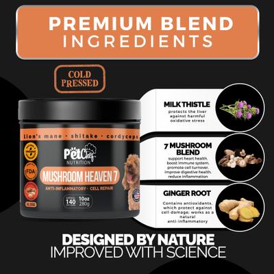 Show full view: Pet Chef Premium 7 Mushrooms Blend Turkey Tail, Maitake, Lion's Mane & More Detox Roasted Peanut, Milk Thistle & Ginger Root Flavored Soft Chew Immune Support Supplement for Dogs, 10-oz jar, 140 count slide 6 of 9