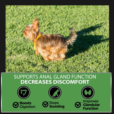 Show full view: Pet Chef Anal Gland Repair & Anal Cleaner Fixer Peanut Butter Flavored Soft Chew Immune Support for Dogs, 10-oz jar slide 6 of 9