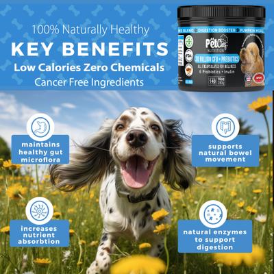 Show full view: Pet Chef Cannine Probiotics & Prebiotics Peanut Butter Flavored Digestion Gut Health Supplement for Dogs, 10-oz jar slide 7 of 11