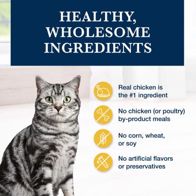 Show full view: Blue Buffalo Natural Veterinary Diet K+M Kidney + Mobility Support Grain-Free Dry Cat Food, 7-lb bag slide 7 of 13