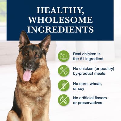 Show full view: Blue Buffalo Natural Veterinary Diet GI Gastrointestinal Support Dry Dog Food, 22-lb bag slide 7 of 13