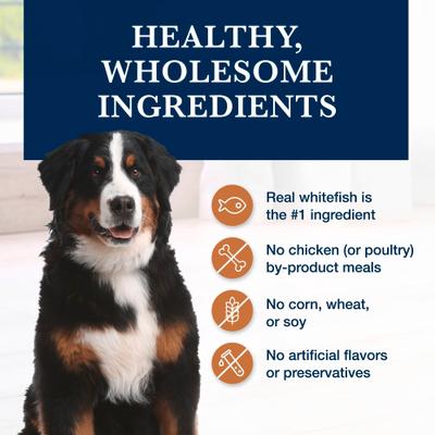 Show full view: Blue Buffalo Natural Veterinary Diet W+M Weight Management + Mobility Support Grain-Free Wet Dog Food, 12.5-oz, case of 12 slide 7 of 13
