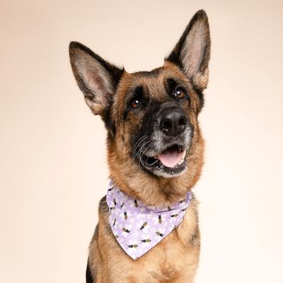 Show full view: The Paws Honey Dog Bandana, Purple, Large slide 2 of 6