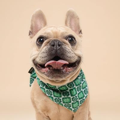 Show full view: The Paws Shamrock Dog Bandana, Green, Large slide 4 of 6