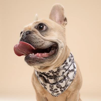 Show full view: The Paws Lucky Dog Bandana, Brown, Small slide 2 of 5