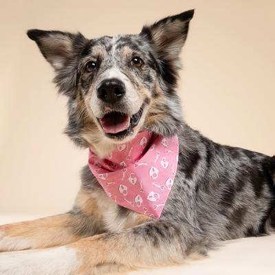 Show full view: The Paws Valentine's Day Love Lock Dog Bandana, Pink, Small slide 4 of 6