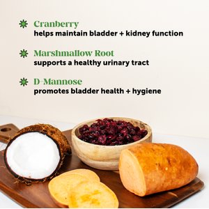 Pet Honesty Bladder Health Cranberry Chicken Flavored Soft Chews, Urinary & Kidney Supplement for Dogs, 90 count