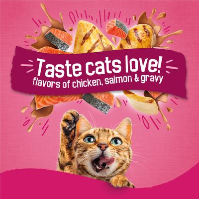 Show full view: Friskies Gravy Swirlers Chicken & Salmon Flavor Dry Cat Food, 22-lb bag slide 6 of 12