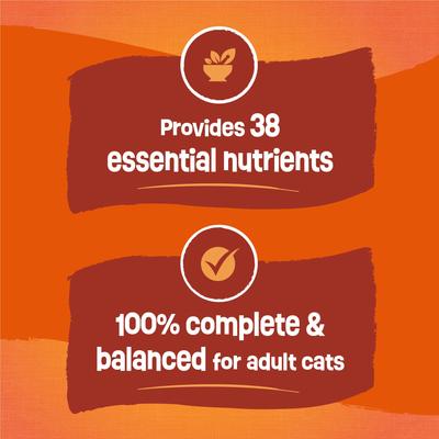 Show full view: Friskies Tender & Crunchy Combo Dry Cat Food, 16-lb bag slide 9 of 12