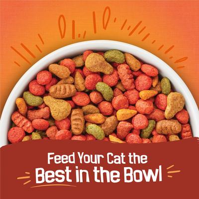 Show full view: Friskies Tender & Crunchy Combo Dry Cat Food, 3.15-lb bag slide 6 of 12