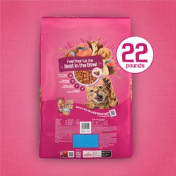 Friskies Gravy Swirlers Chicken & Salmon Flavor Dry Cat Food, 22-lb bag slide 2 of 7