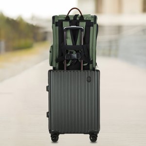 EliteField Deluxe Airline-Approved Backpack Dog & Cat Carrier, Army Green, Large