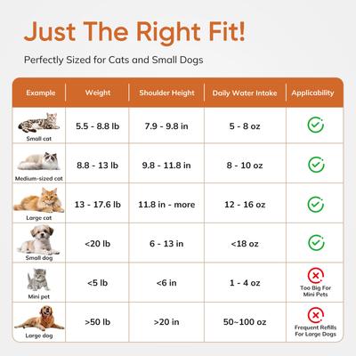 Show full view: Supet Automatic Stainless Steel Cat Water Fountain, 108-oz / 3.2-L slide 9 of 9