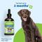 Show in main carousel: Pet Wellbeing BM Tone-Up GOLD for Diarrhea for Dogs, 4-oz bottle slide 8 of 11