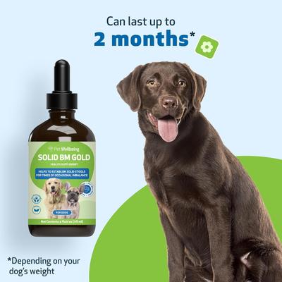 Show full view: Pet Wellbeing BM Tone-Up GOLD for Diarrhea for Dogs, 4-oz bottle slide 8 of 11