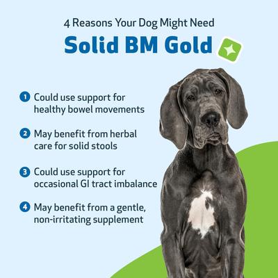 Show full view: Pet Wellbeing BM Tone-Up GOLD for Diarrhea for Dogs, 4-oz bottle slide 4 of 11