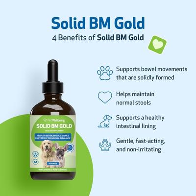 Show full view: Pet Wellbeing BM Tone-Up GOLD for Diarrhea for Dogs, 4-oz bottle slide 5 of 11