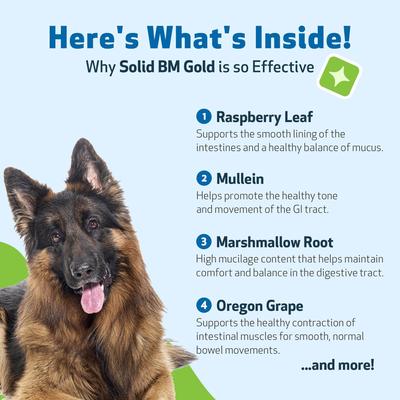 Show full view: Pet Wellbeing BM Tone-Up GOLD for Diarrhea for Dogs, 4-oz bottle slide 7 of 11